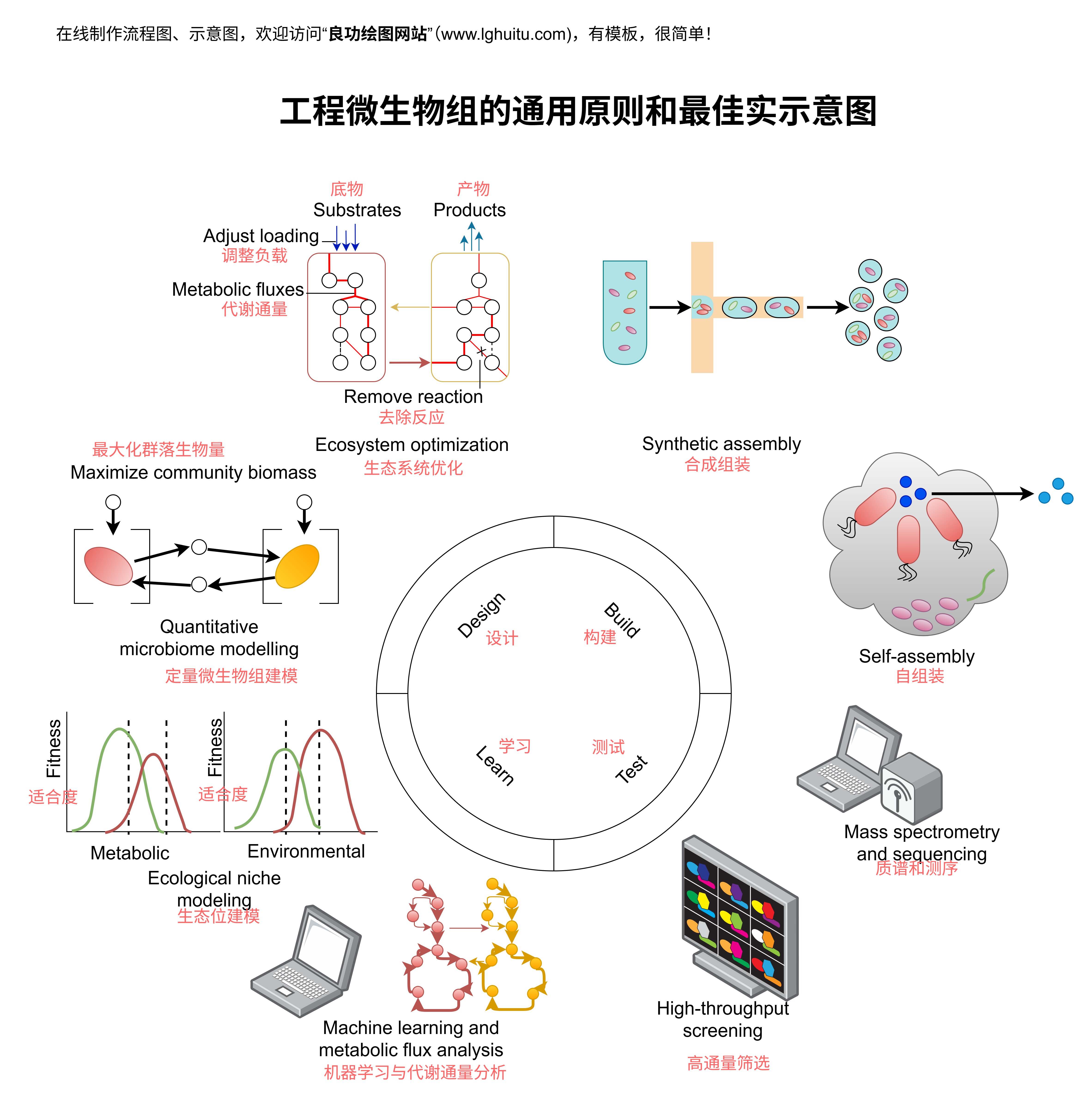 工程微生物组通用原则