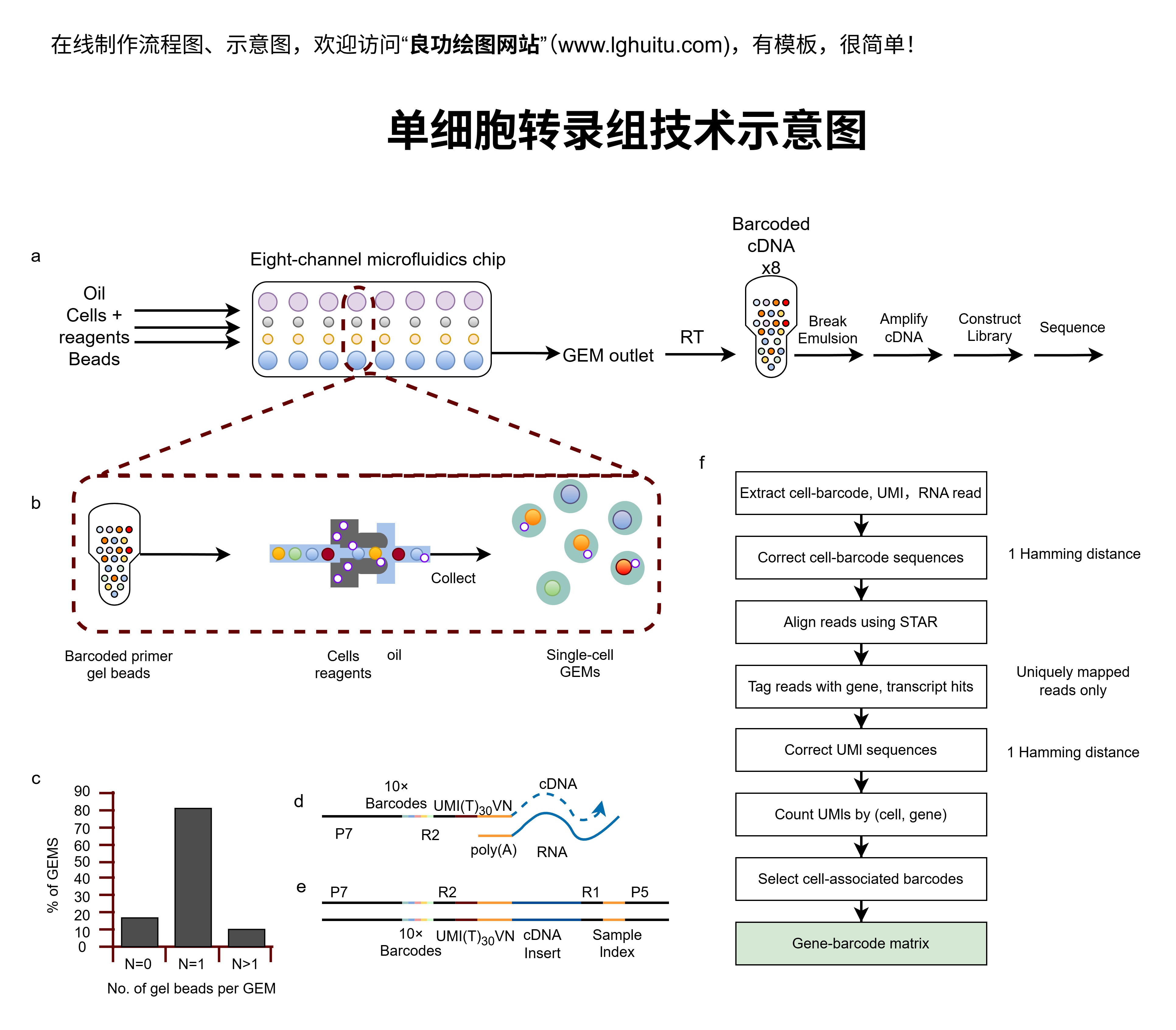 单细胞转录组技术示意图