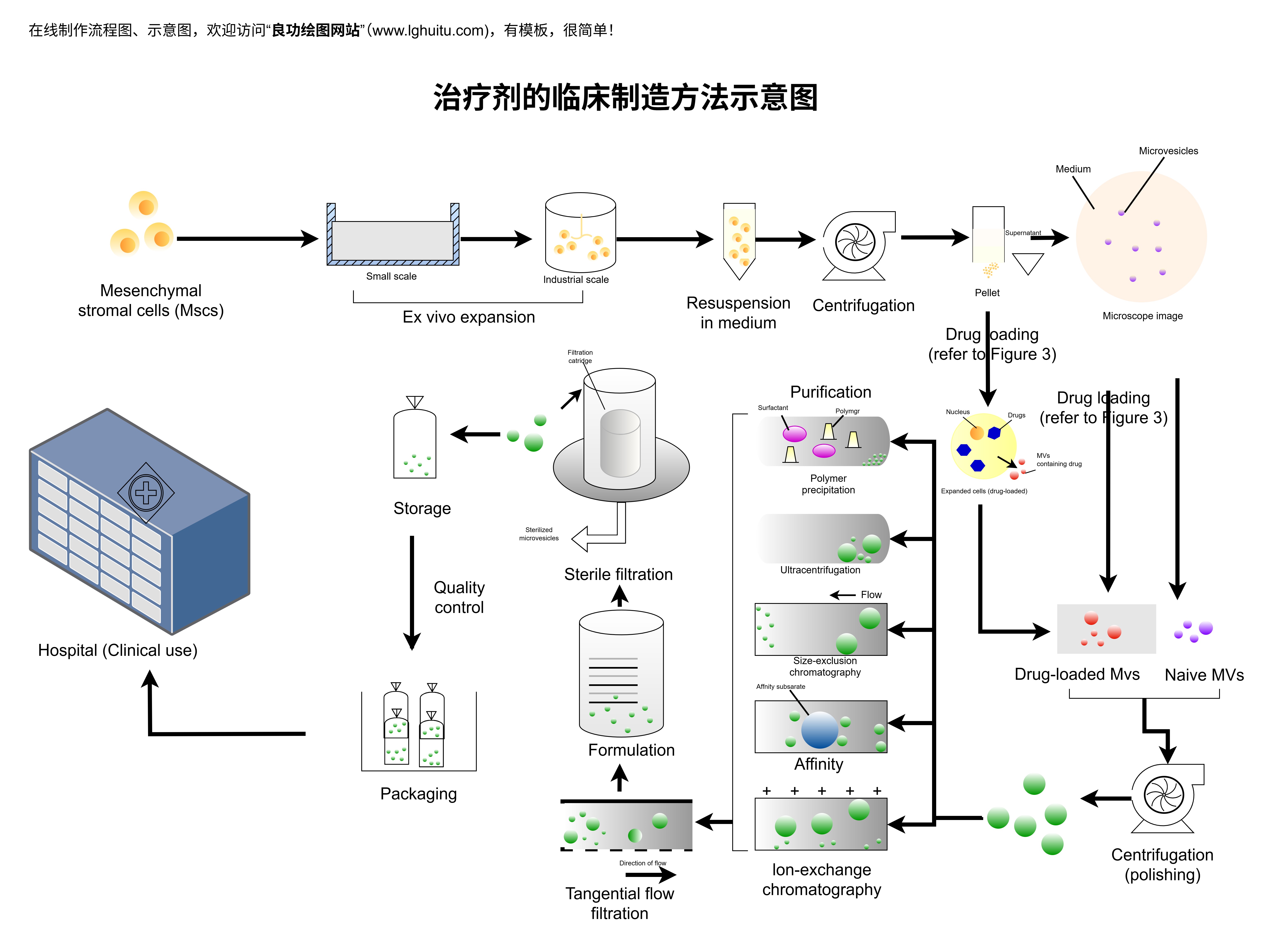 治疗剂的临床制造方法示意图